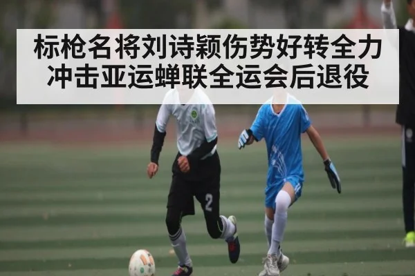 标枪名将刘诗颖伤势好转全力冲击亚运蝉联全运会后退役